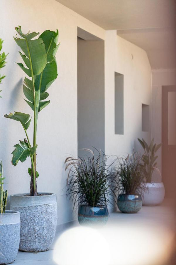 Villa Ilma Luxury Rooms アルツァケーナ エクステリア 写真